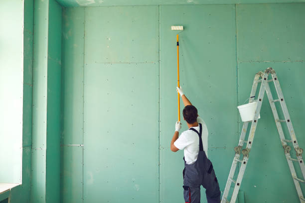 Trusted Conway, PA Mold Removal Experts