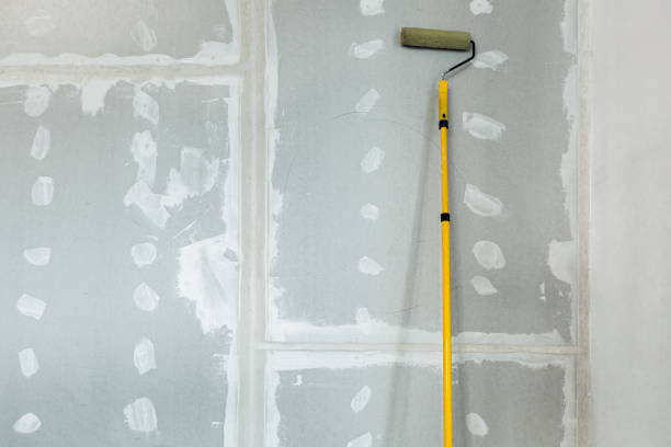 Mold Odor Removal Services in Conway, PA